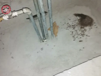 浪卡子卫生间测漏水价格明细