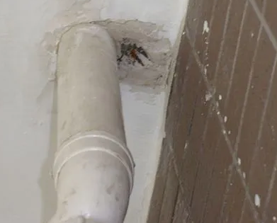 浪卡子漏水检测哪家好